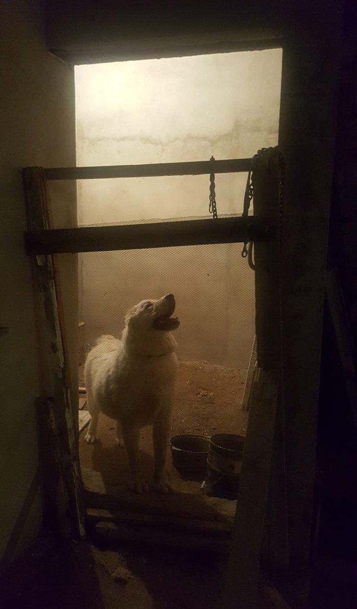 Alabay
1 yasi var disidi bala vermiyib helem cox gozel itdi
baxmaq