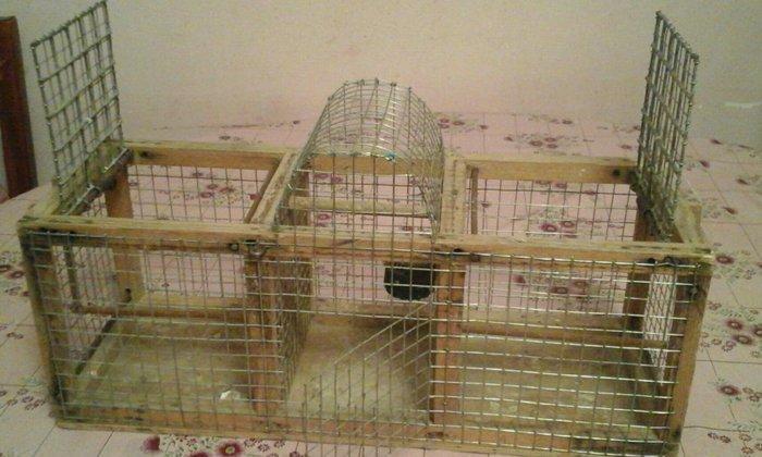 Bülbül və ya kiçik ölçülü quşlar tutmaq üçün tələ satıram. İki tərəfi