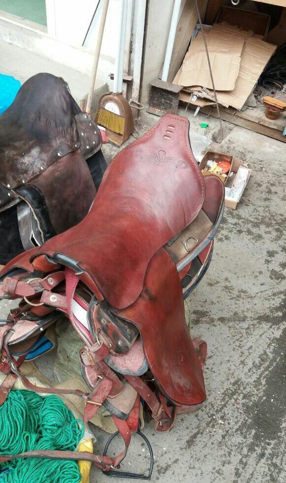 At yəhəri - atlar üçün dəri yəhərlər.Qiymət 119 azn.dən başlayır 600 a