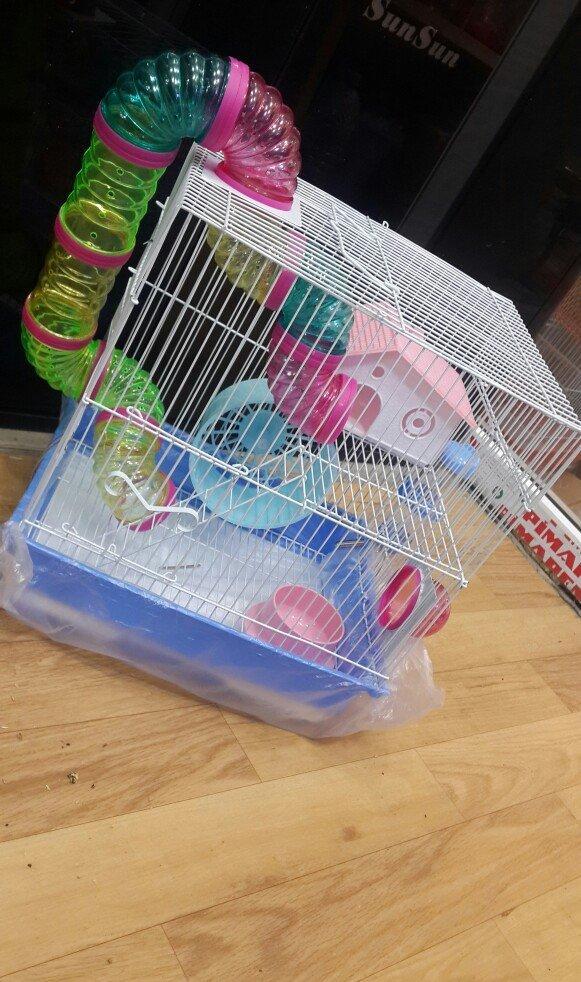 Teze iri Cunqarik qefesi. Tam ideal bir qefesdir. Icinin her bir akses