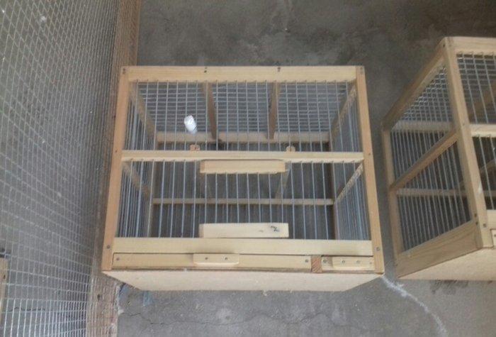 Hamya  Salam  Qəfəs biri 12 manat ikisini  ğöturən olsa  edirim  edərə