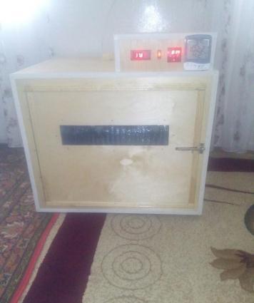 isdenilen yumurta sayına görə inkubatorlar yiqilir tam aftamat və zəma