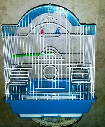 Iri qefes satilir. Su qabi , yem qabi, papuqay durmasi ucun cubuq v