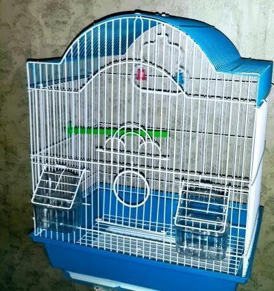 Iri qefes satilir. Su qabi , yem qabi, papuqay durmasi ucun cubuq v