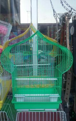 Iri qefes satilir. Su qabi , yem qabi, papuqay durmasi ucun cubuq v