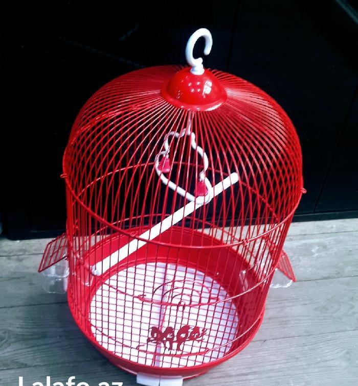 Teze iri qefes satilir. Urek acan rengi var . Su qabisi,yem qabisi,pap