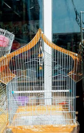 Iri qefes satilir. Su qabi , yem qabi, papuqay durmasi ucun cubuq v