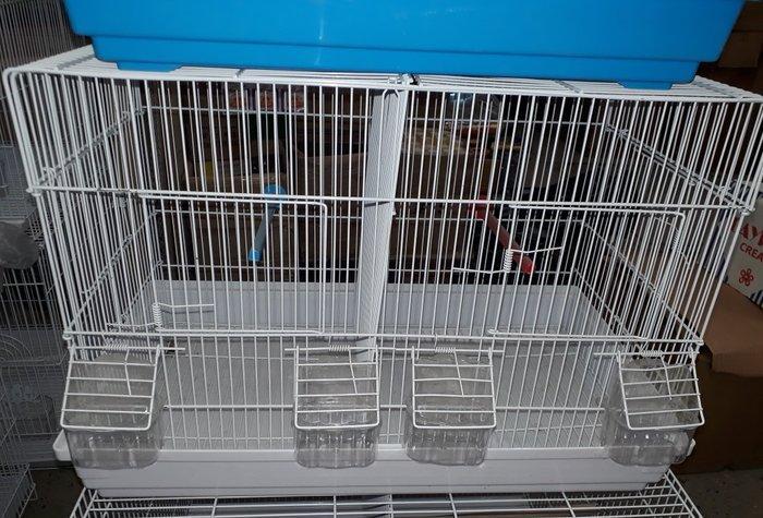 Quslarcun boyuk ve ortadan iki hisseye bolunen teze qefes butun akesua