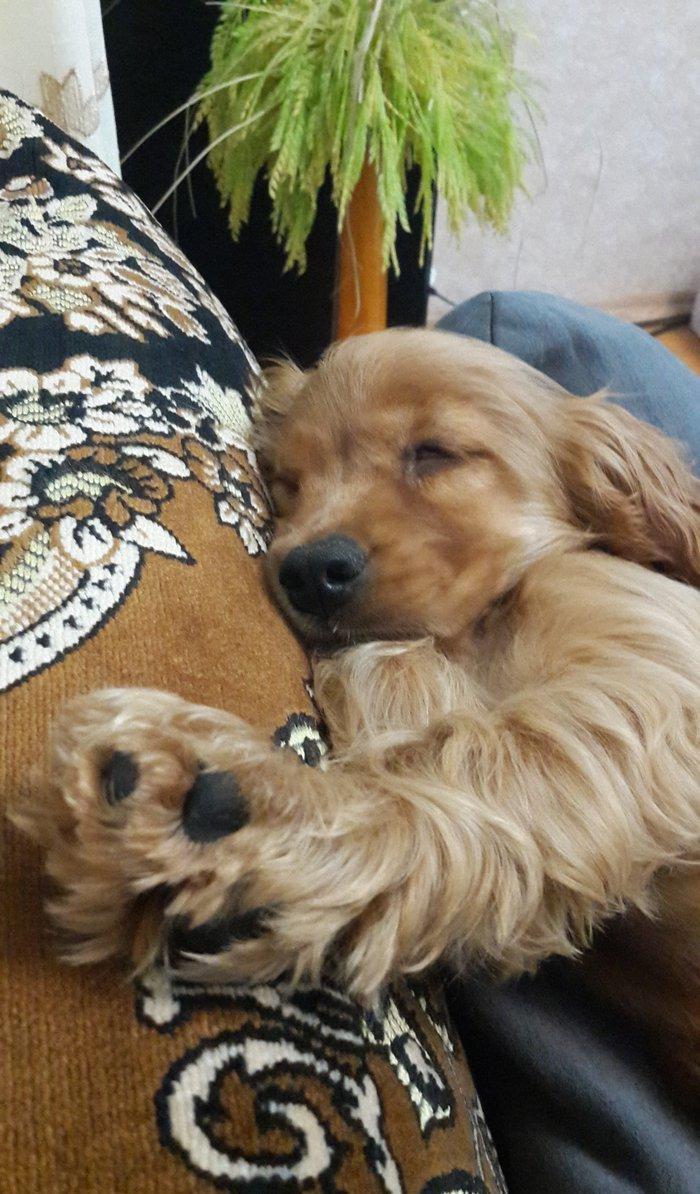 Tam oxuyun melumat tam alin
temiz fransiz iti bala gold koker