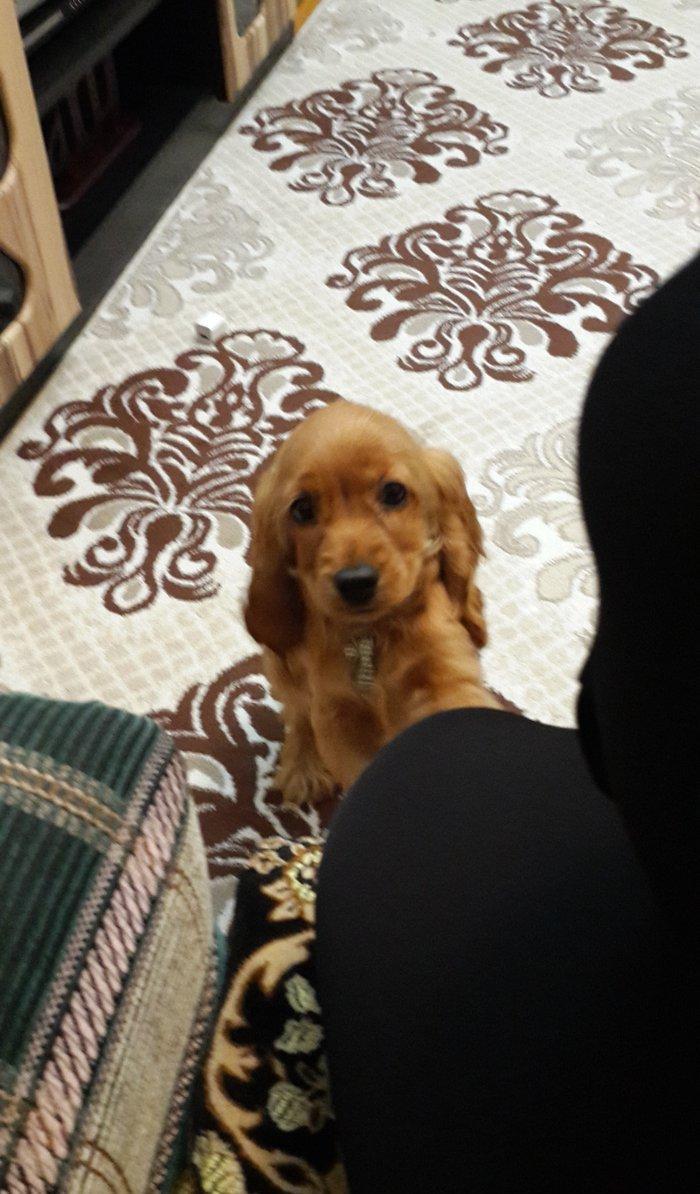 Tam oxuyun melumat tam alin
temiz fransiz iti bala gold koker