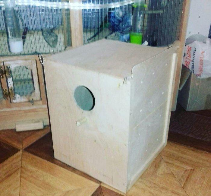 Yandan acılma korella yuvası satılır tezedi işlenmeyib real alıcıya em