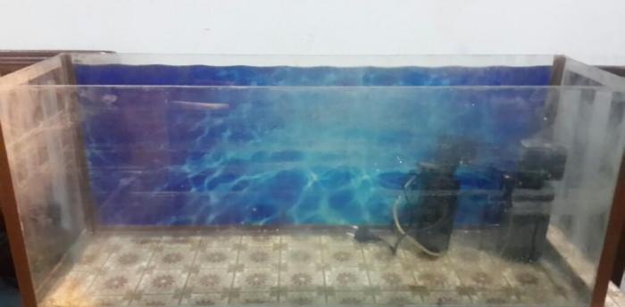 Akvarium 85sm eni 26sm. Icindeki aksesuarlar var. Hava temizliyen ve d