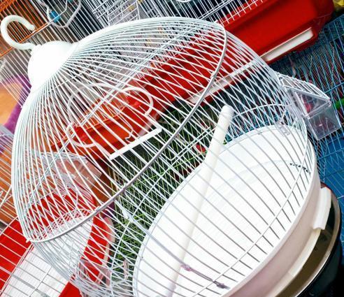 Teze yumru iri  qefes satilir  . Su qabi,Yem qabi, durmasi ucun cubuq+