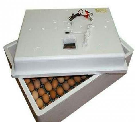 Rusiya inkubator her sey avtomatik. Zavod malidi. 104 toyuq, indyuska,