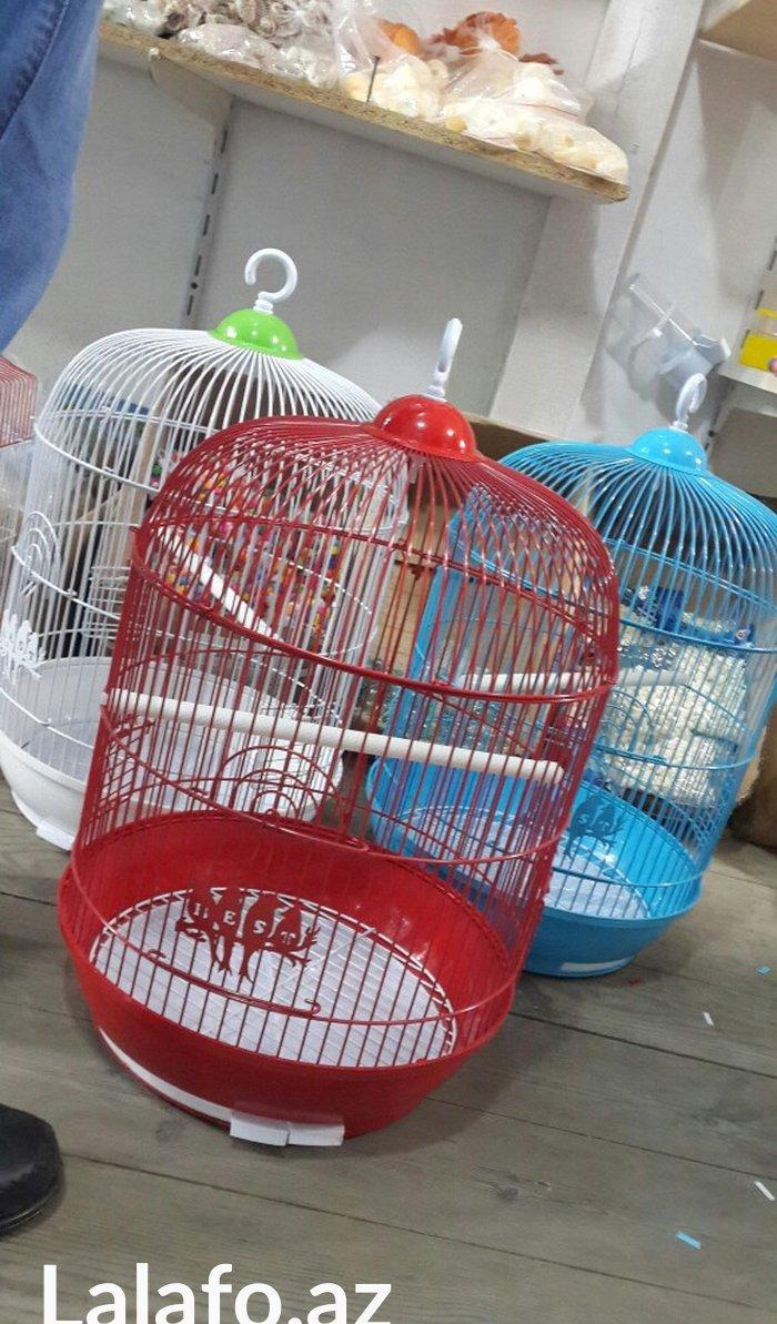 teze iri qefes satilir. Su qabi,yem qabi, cubuqu ,aksesuari her weyi v