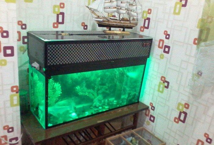 Icindekileri ile birlikde 250 m
Iki baliq var icinde bir akula 30sm sa