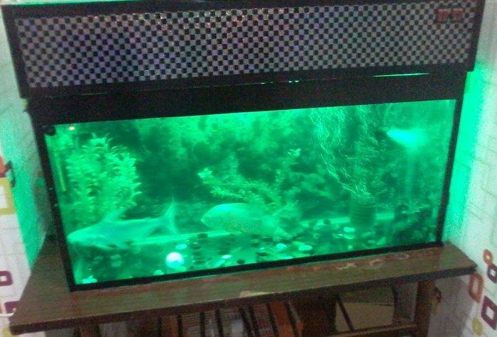 Icindekileri ile birlikde 250 m
Iki baliq var icinde bir akula 30sm sa