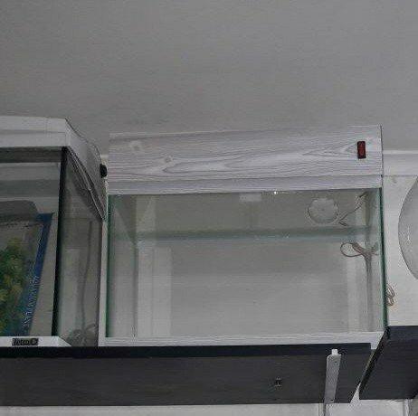 akvariumlar tezedir. ozum yigiram. 1il zemanet verilir. 25-30-35 azn-e