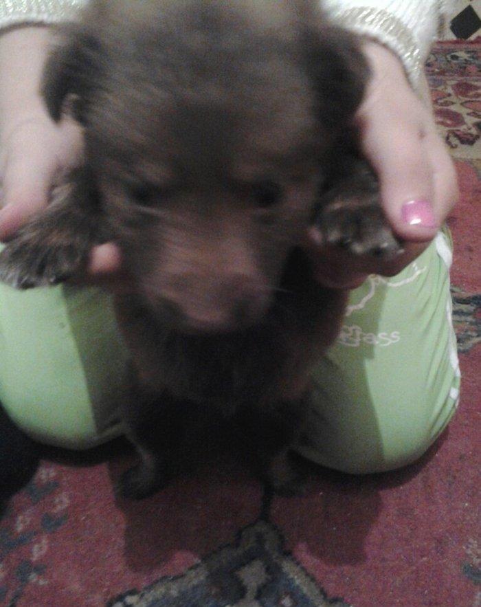 salam xaski gozderi goydur ama Qaranligdi deye Gozderi qara gorsenir w