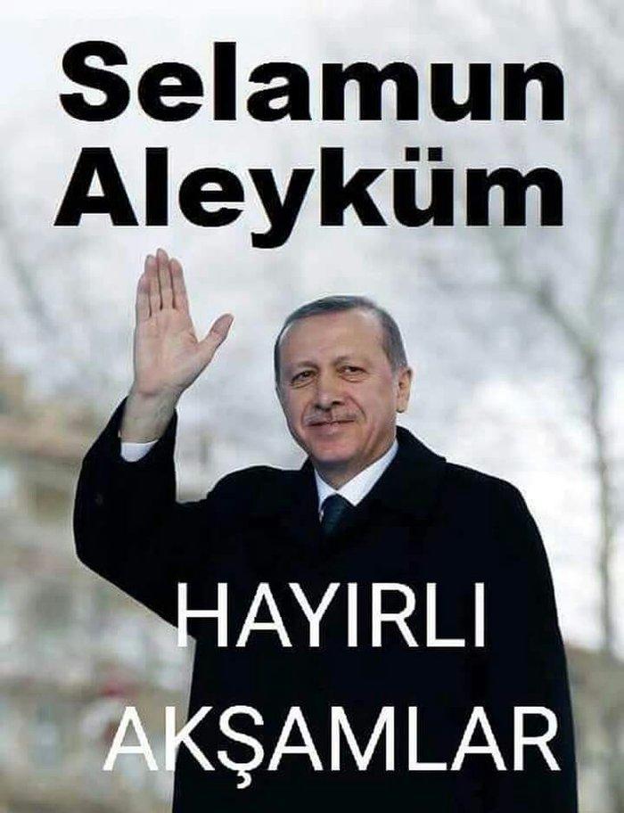 korella papuqay gutduler ev seraitinde baxilir ve tam saglam qusdular