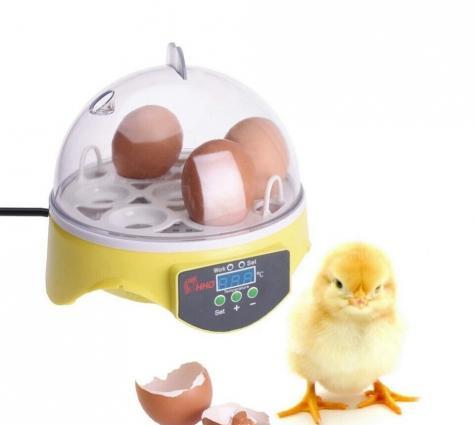 7 yumurtalıq İnkubator

yeni ,qutusunda 7 yumurtalıq İnkubator satılır