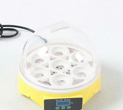 7 yumurtalıq İnkubator

yeni ,qutusunda 7 yumurtalıq İnkubator satılır