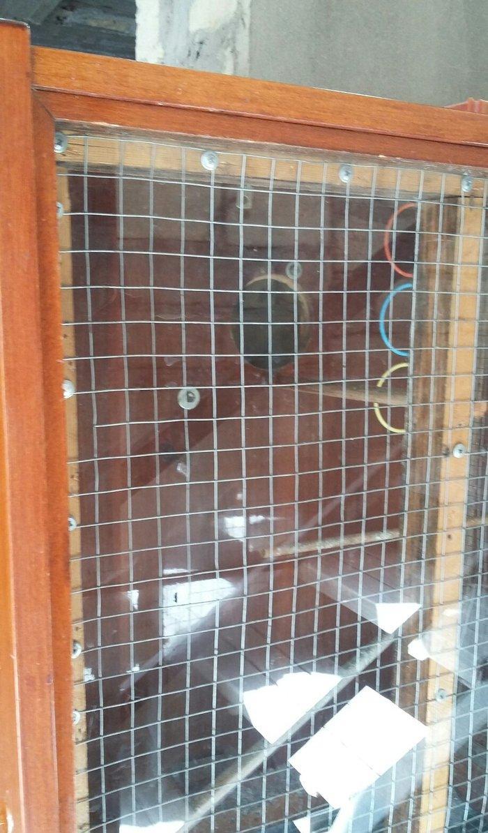 papuqaylar üçün iri qəfəsdi iki yuvası, işıqı, yay qapısı, qış qapısı