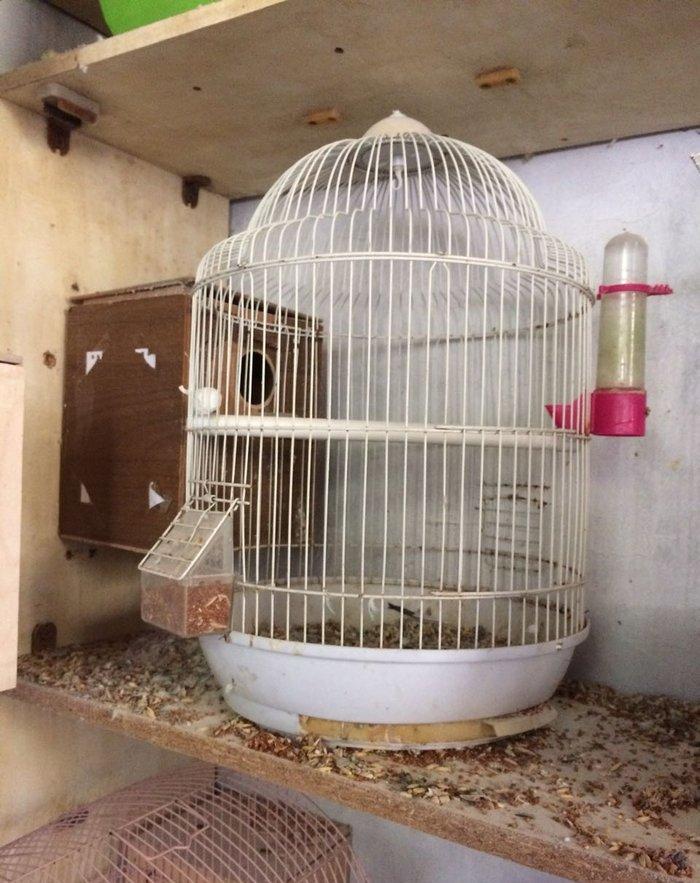 her cur islenmis qefesler.1 ci ve 2 ci sekildeki qefesler + yuva 15