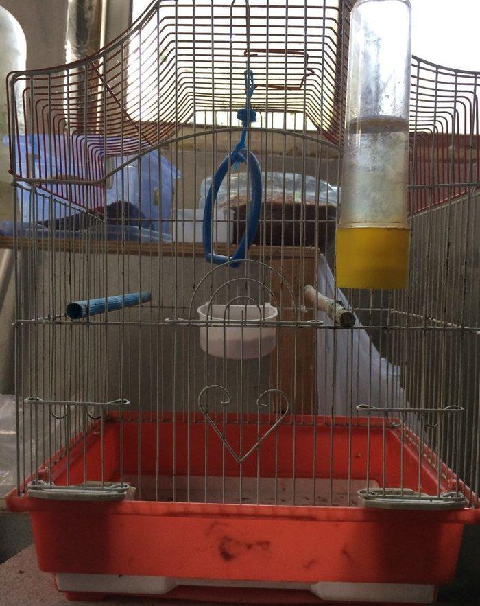 her cur islenmis qefesler.1 ci ve 2 ci sekildeki qefesler + yuva 15