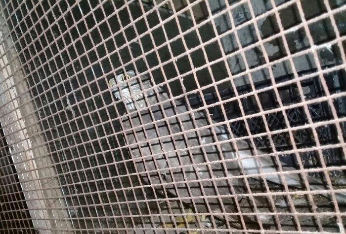 Sahin quwu  vehwi quwdu saxlamaqa vaxtim yoxdu. Qiymetde awagi yeri va