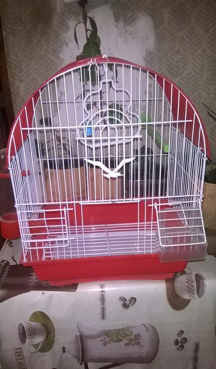 Quş ücün   + su qabı və yem qabı
15 man   əla vəziyyətdə     yeni