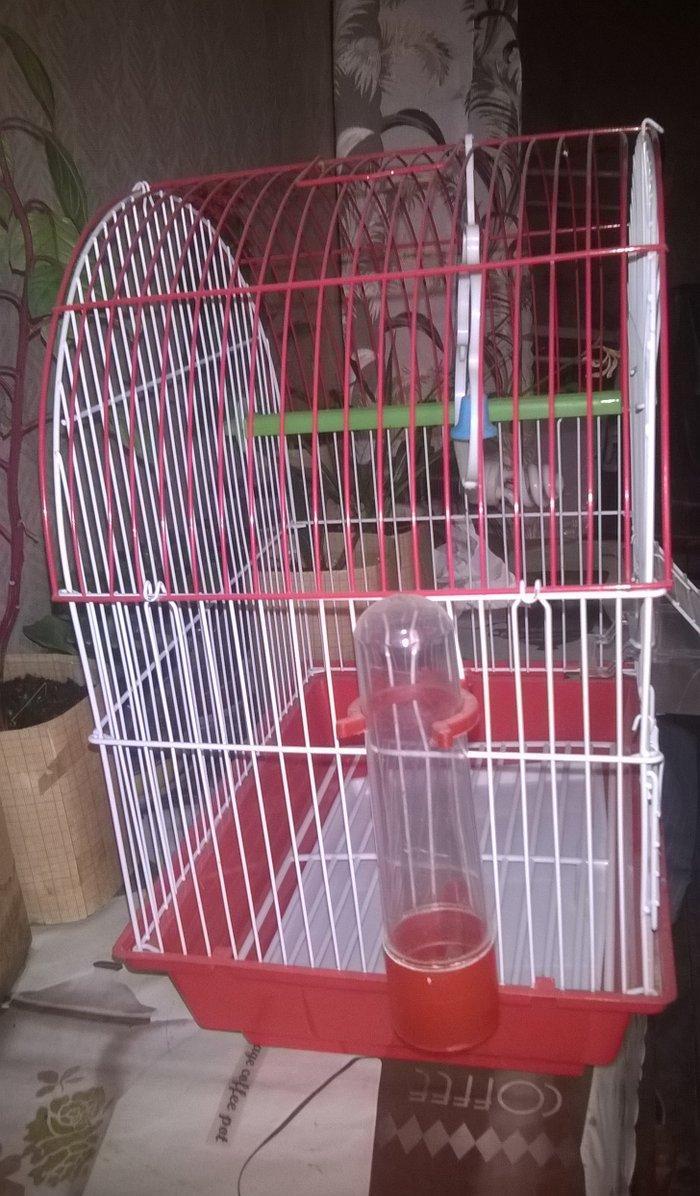 Quş ücün   + su qabı və yem qabı
15 man   əla vəziyyətdə     yeni