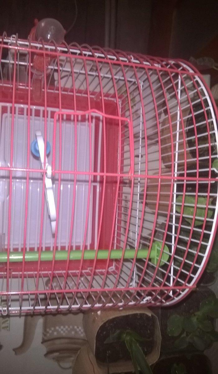 Quş ücün   + su qabı və yem qabı
15 man   əla vəziyyətdə     yeni