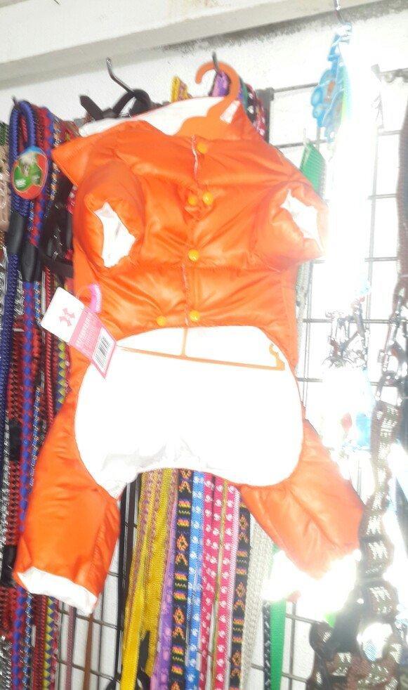 Sevimli itler ucun paltarlar. Biz size istenilen mehsulu onlayn olaraq