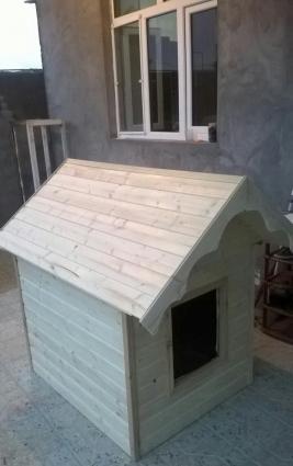 t yuvasi. teze yigilib  ici opwivka olunub penapilas falqa. yeri poldu