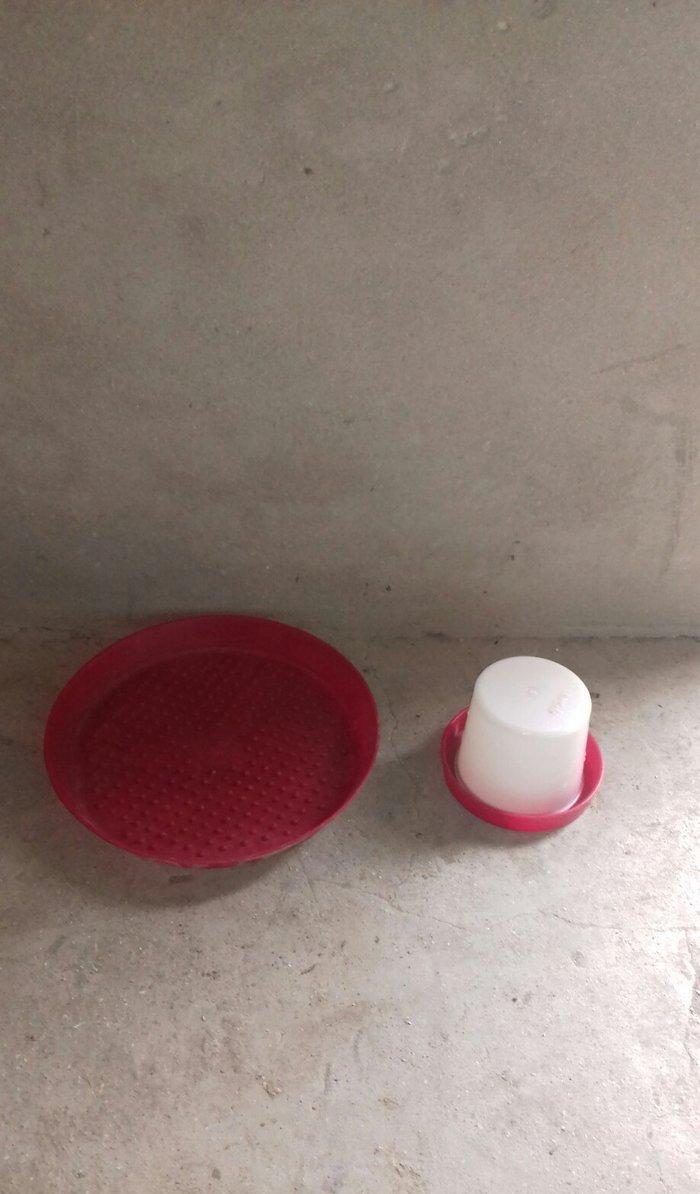 Broller  toya cuce yem &#039;ve su qablari ( kicik &#039;ve balaca ) satilir qiy