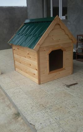 it yivasi. olculer yaxwidi her olcude it yerwer icene. laklanib. ico i