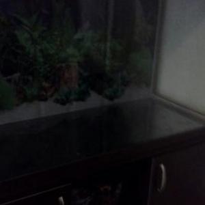 Akvarium  Satılır