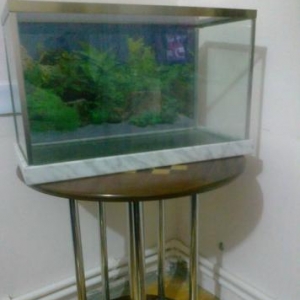 Akvarium satılır