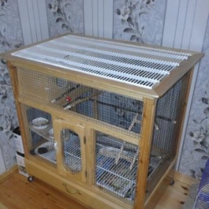 Korella popuqaylari+qefes