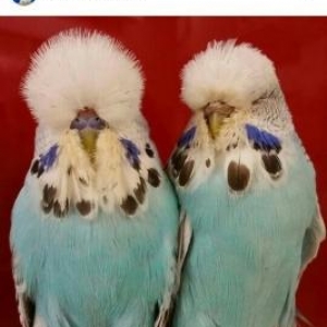 \topdan ve perakende satis.... Zoo