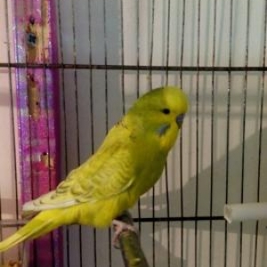 topdan ve perakende satis