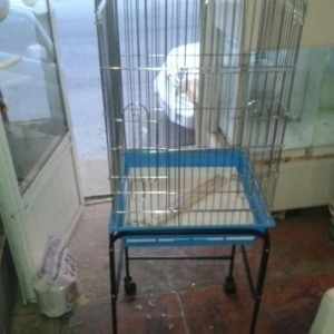 Topdan qiymetlerle..Zoo.Shop