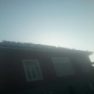 her cur quş var razlaşma yolu ile500eded