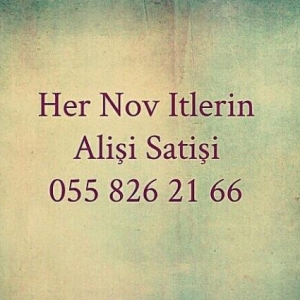 Her Nov itlerin alisi satisi