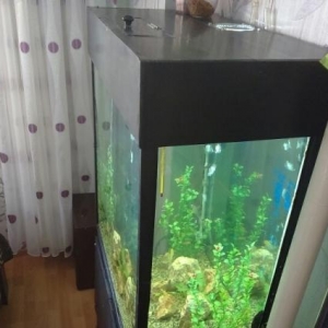 256 litirlik akvarium satiram