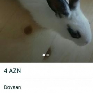 dovsan