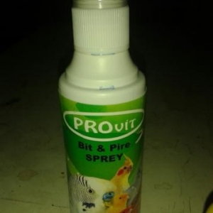 qefesler..papuqaylar..vitaminler