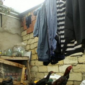 елла хороздылар и