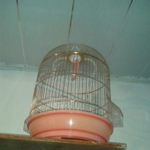 ZOO SHOP..TOPDAN QIYMETLER